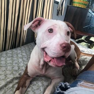 Meet your Posher, Jaryllynn